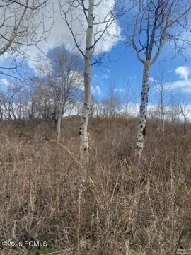 Residential Land in Coalville, Utah