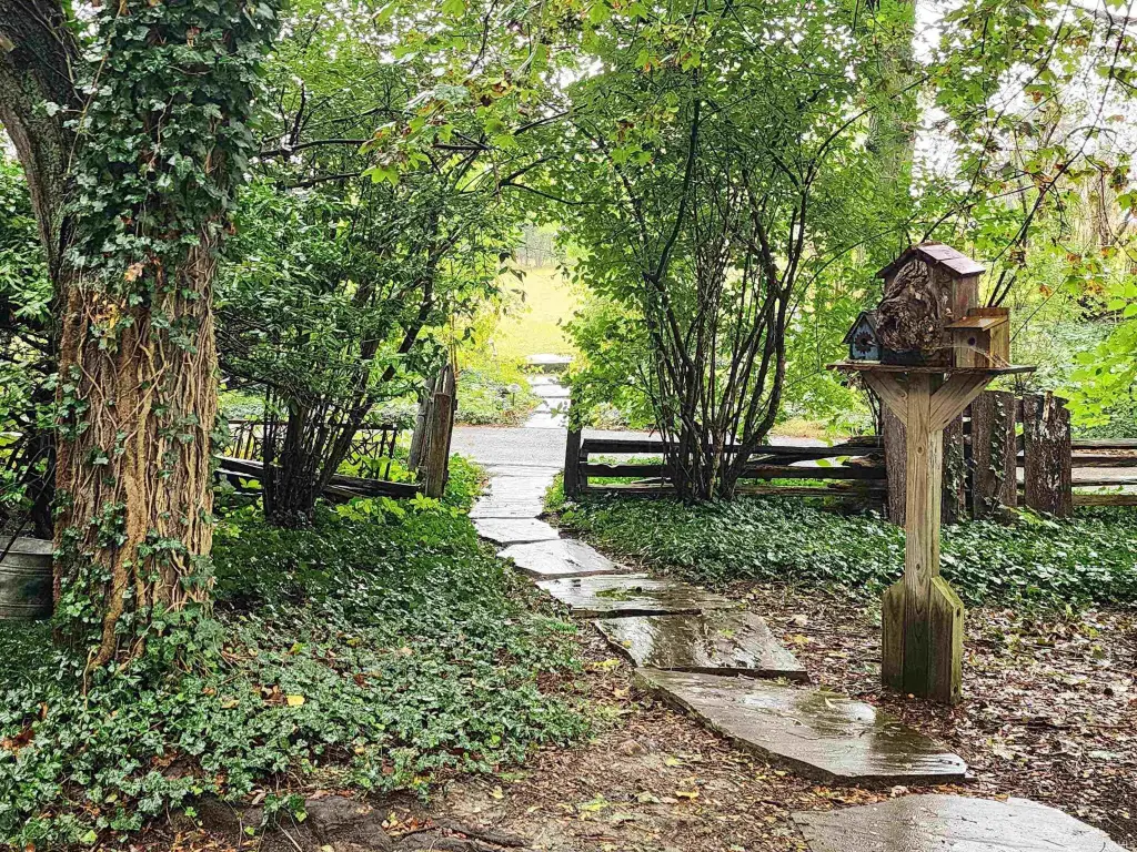 Picture 28