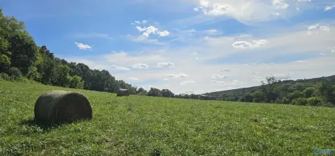 58.71 Acres Farm in Bryant, AL