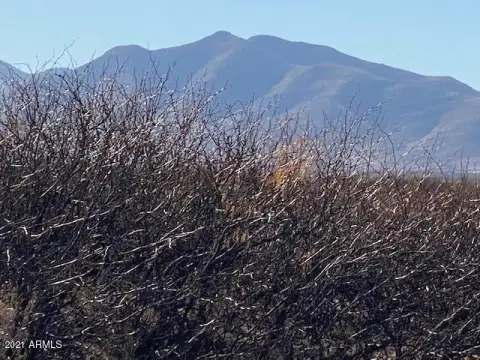 41 Acres in McNeal, Arizona