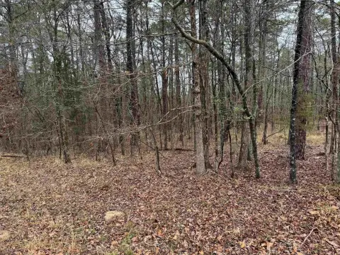 Residential Lot Near Golf Course