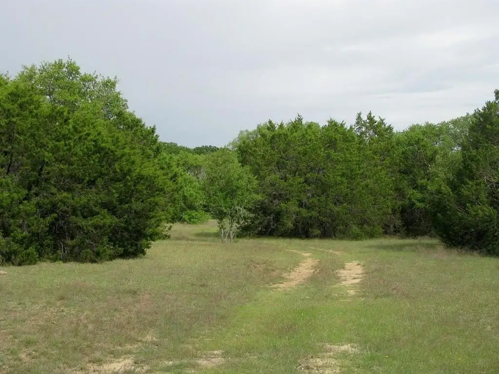 Picture 31