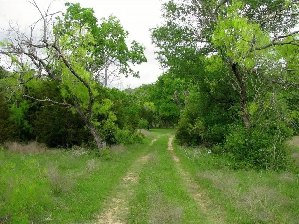 Picture 21