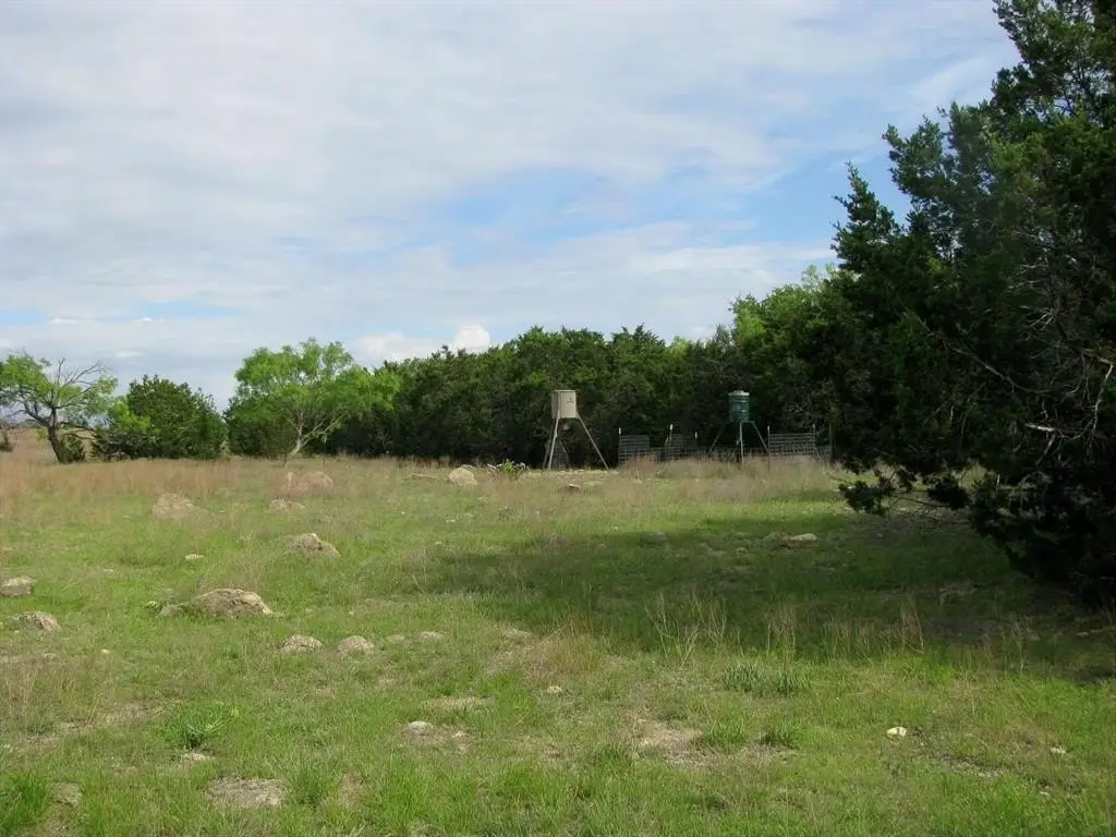 Picture 33