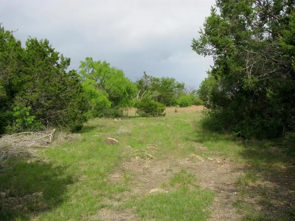 Picture 25
