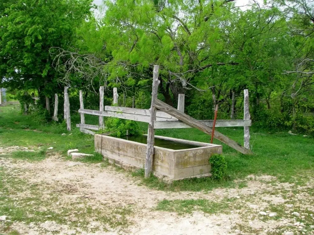 Picture 16