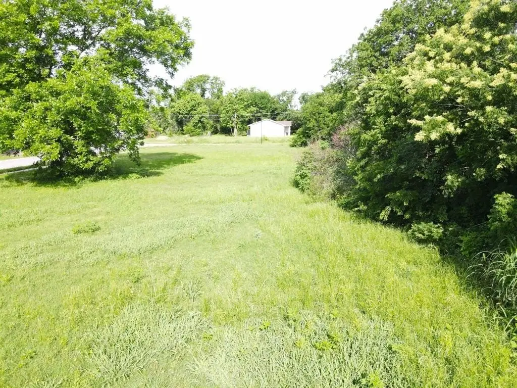 Picture 4