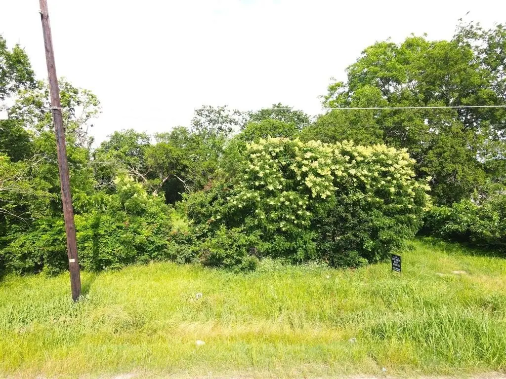 Picture 3