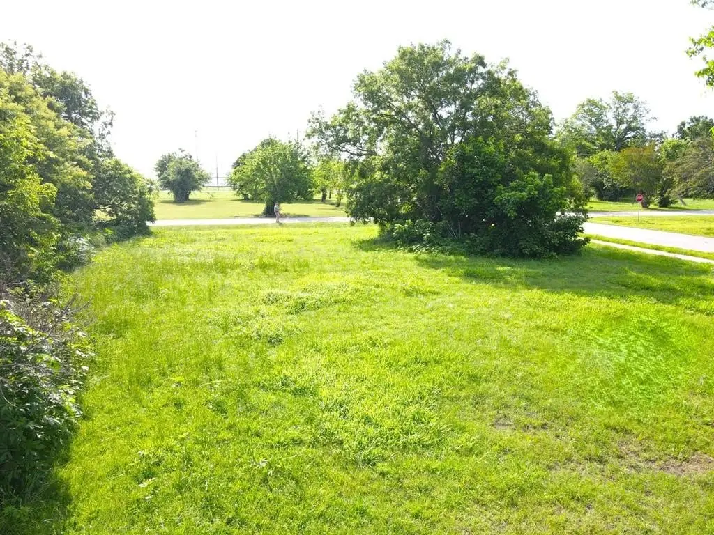 Picture 5