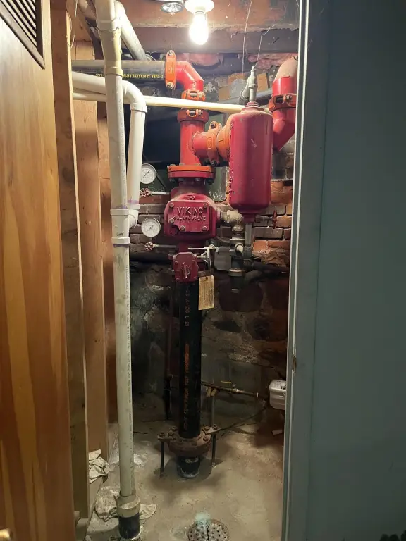 Picture 19