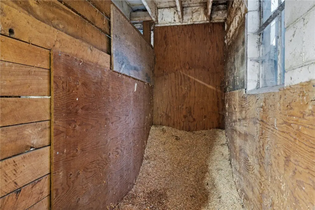Picture 31