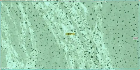 Amargosa Valley Land Parcel