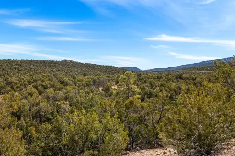 Sandia Park Acreage Available