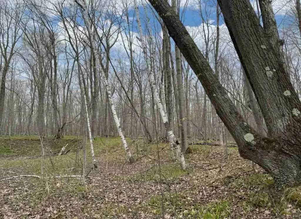 Picture 6