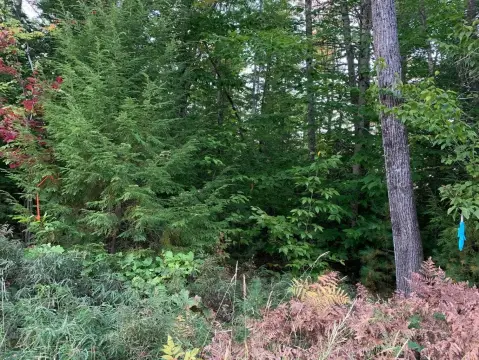 53 Acres in Bridgton, Maine