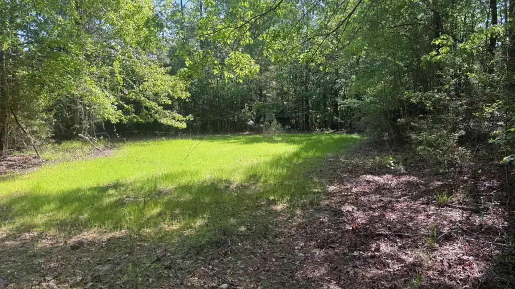 Picture 25