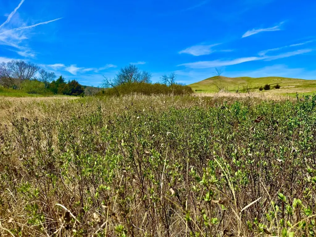 Picture 46