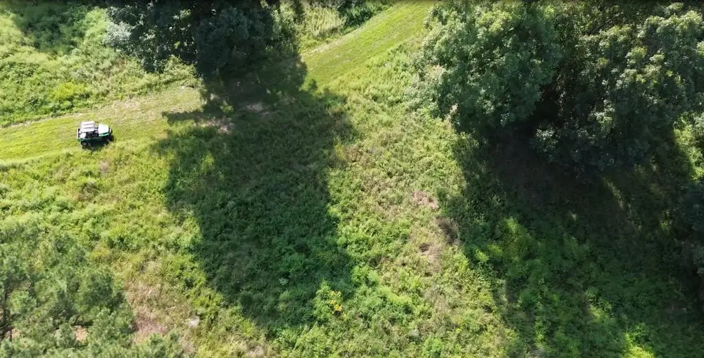 Picture 13