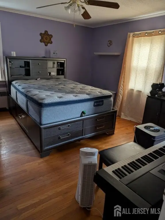 Picture 8