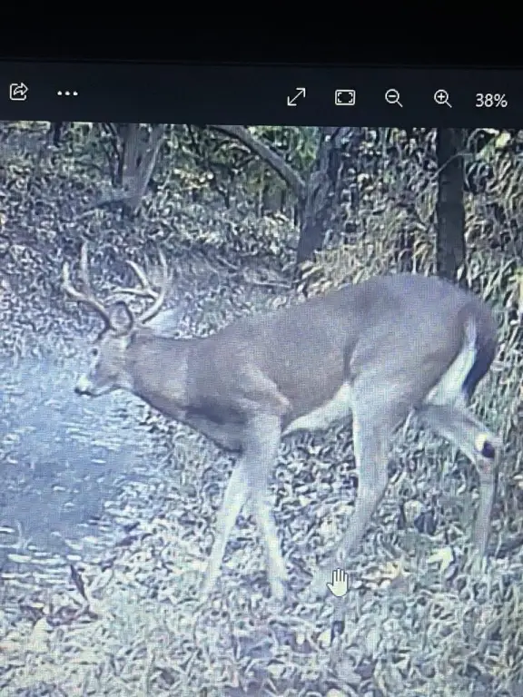 Picture 13