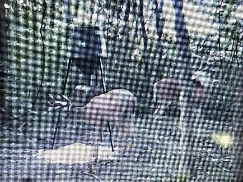 Picture 16