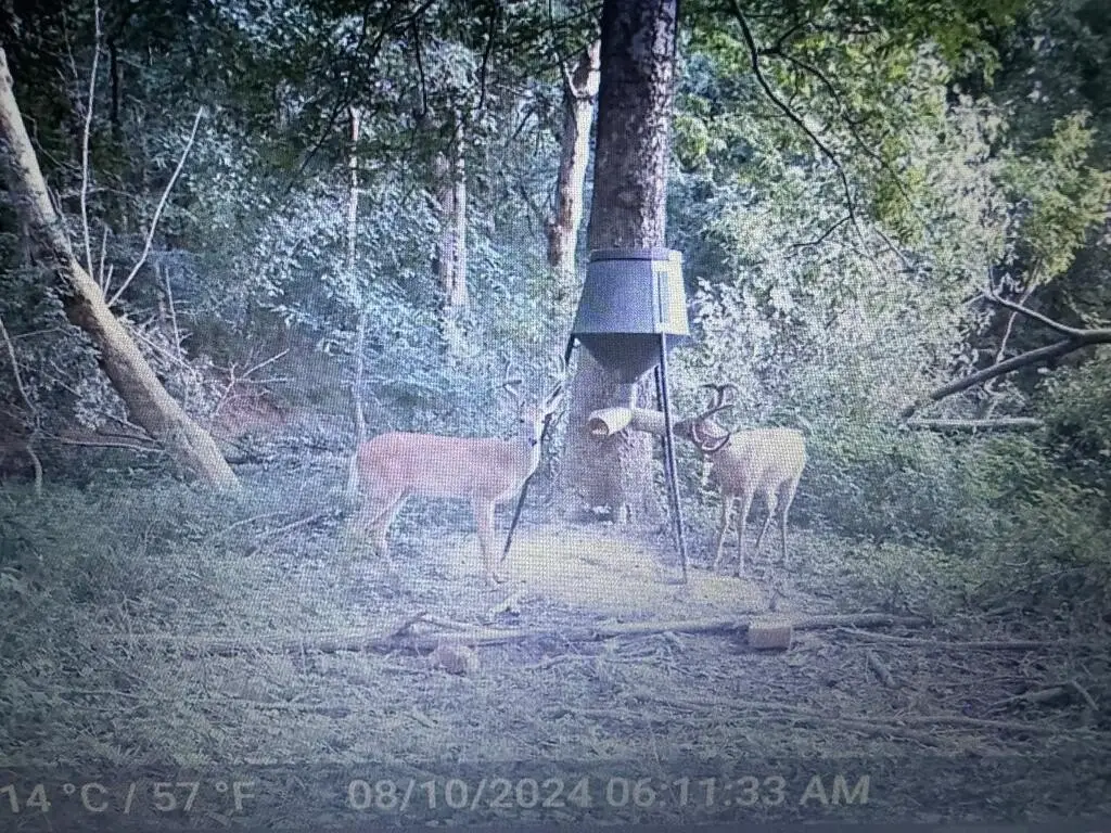 Picture 8
