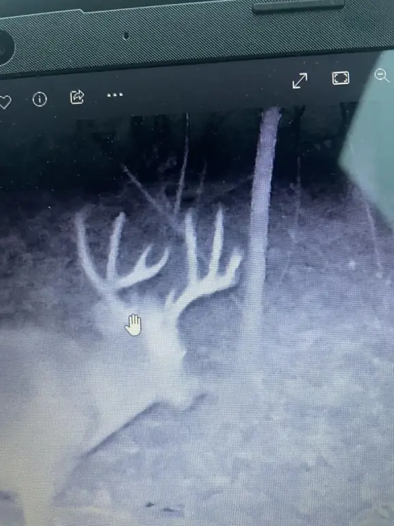 Picture 14