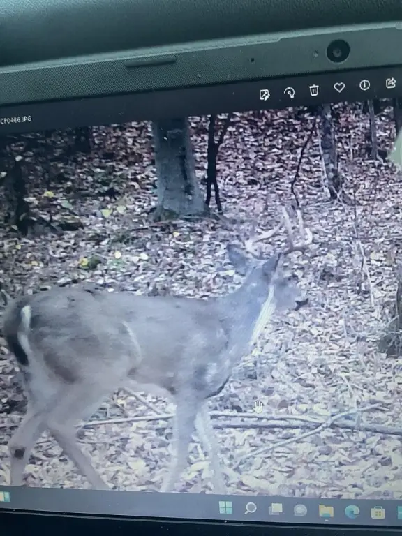 Picture 15