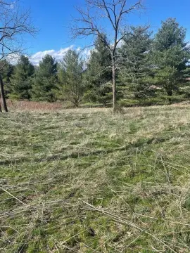 Vacant Land in Peterstown, WV