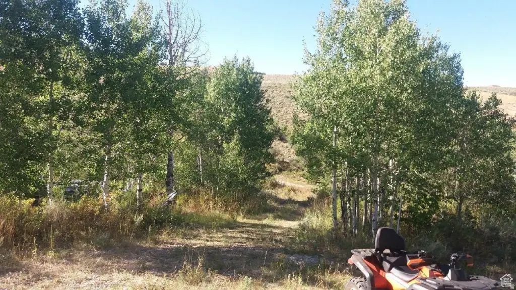 Picture 9