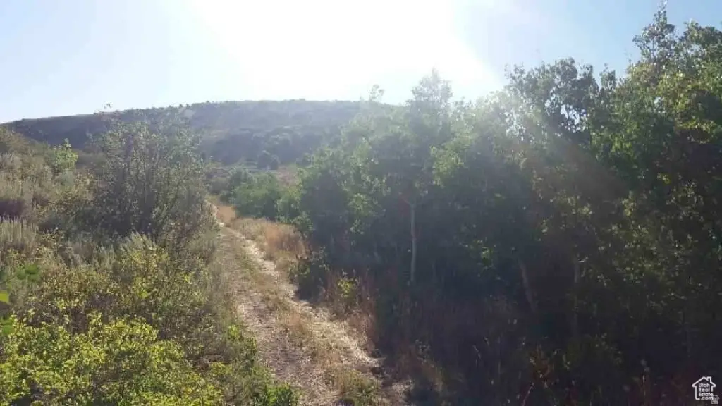 Picture 19