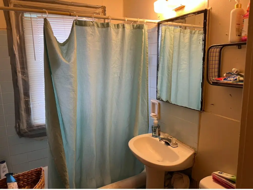 Picture 14