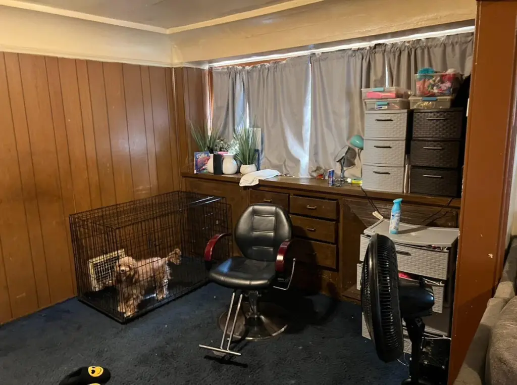 Picture 15