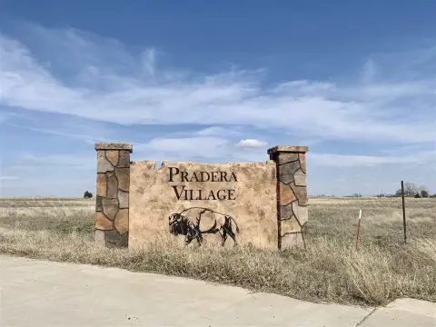 Residential Land in Pradera Village