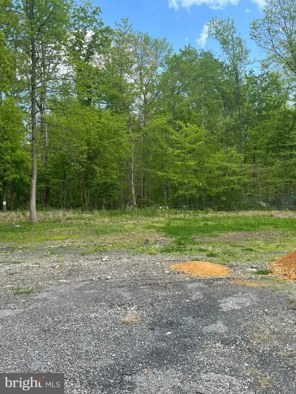 Picture 3