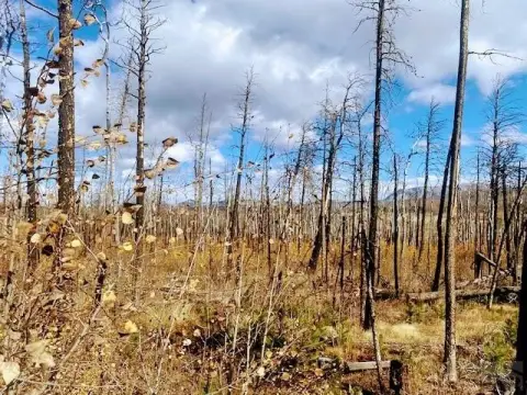 Forbes Park Gated Community Lot