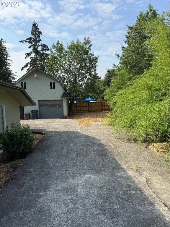 Picture 21