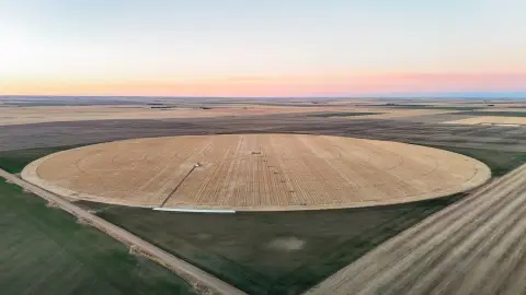 Irrigated Cropland with Dryland Corners