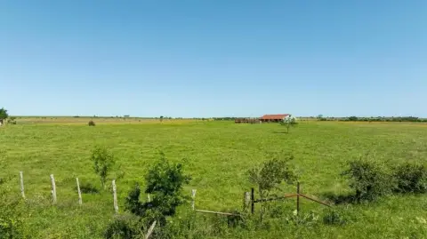 354 Acres of Unimproved Land