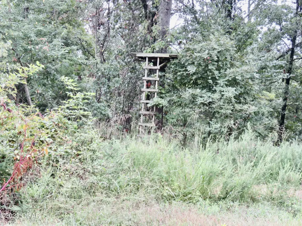 Picture 3