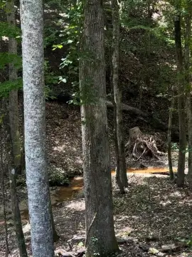 Residential Lot Near Lake Secession