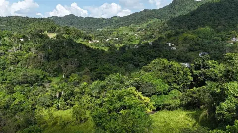 Caguas Land with Lush Vegetation