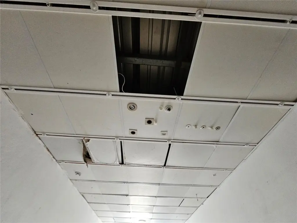 Picture 10