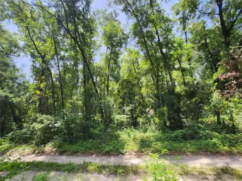 Residential Land in Citra, Florida