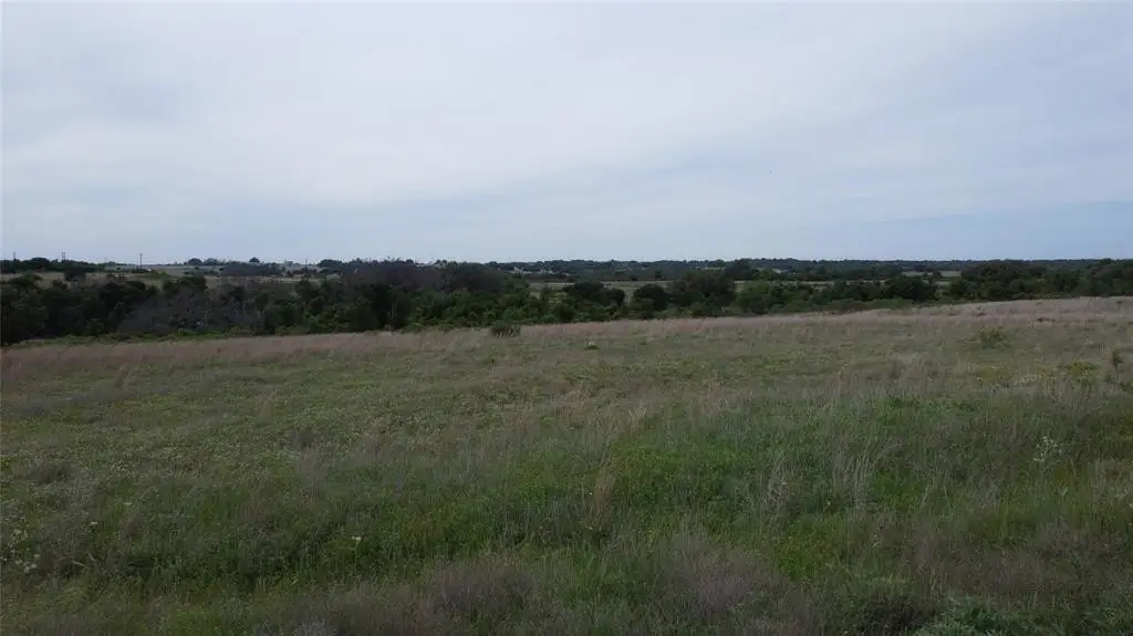 Picture 14