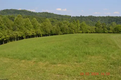 Napier, WV Residential Land