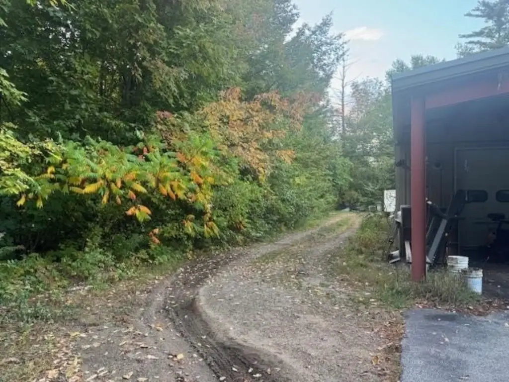 Picture 8