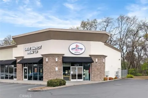 Established Bakery Business Opportunity