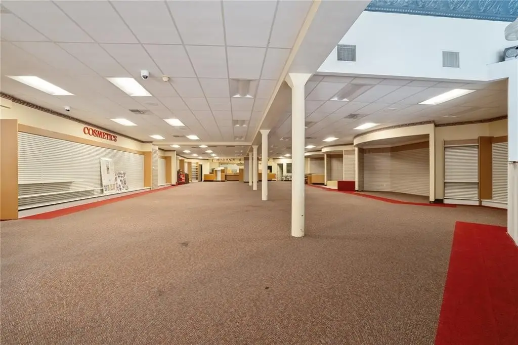 Picture 5
