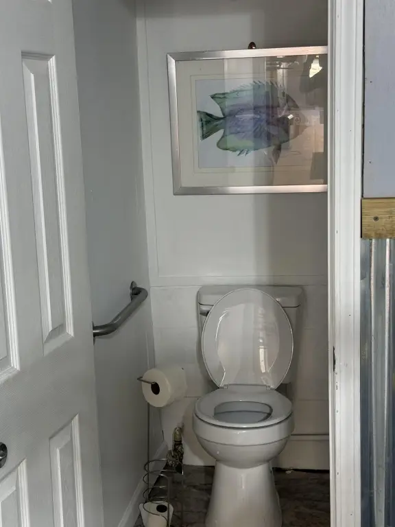 Picture 7